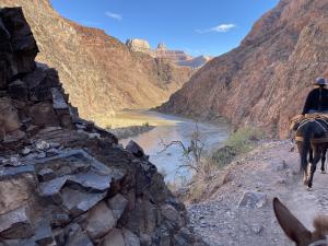Grand Canyon - Colorado River