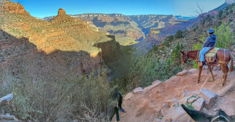 Grand Canyon Panorama