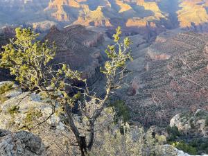 Grand Canyon view from the Rim