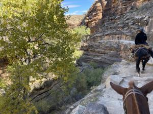 Grand Canyon - Tapeats Narrows