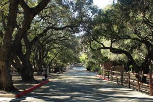 Entrance to the lush Camarillo Grove Park