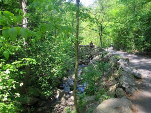 The North Woods area of Central Park