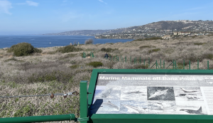 Dana Point - Headlands trail