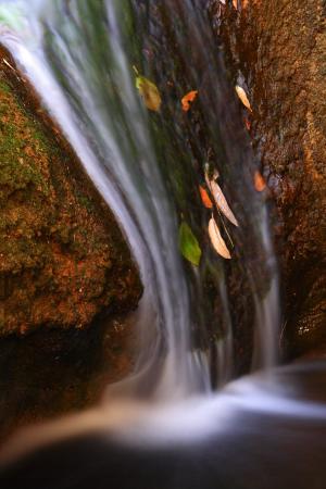 Escondido Falls - by Steve Berardi