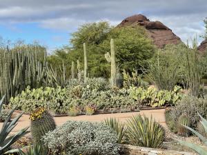Phoenix Desert Botanical Garden
