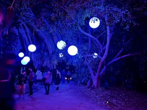 Astra Lumina - Palos Verdes - CA