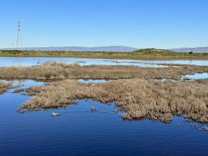 Baylands Park