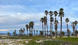 Oxnard Beach Park