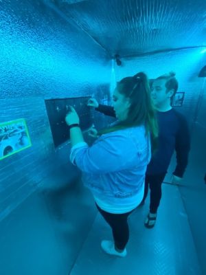 Not Another Escape Room