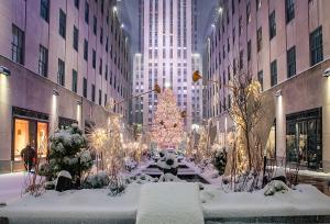 The Rockefeller Center Christmas tree
