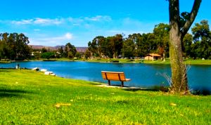Tri-City Park