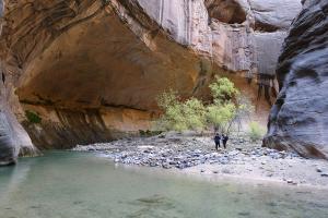 Hiking the Narrows in Zion National Park - by Sakturner - Wikimedia