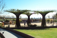 Getty central garden