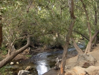 Paradise Falls downstream view