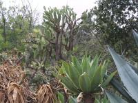 Oak Canyon nature center - Anaheim