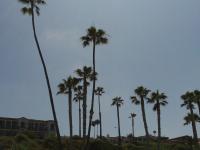Walking along the San Clemente Coastal Trail