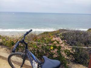 Crystal Cove Boardwalk above the beach waves