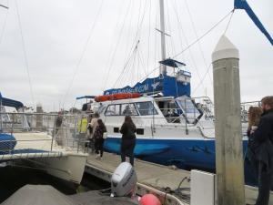 Captain Dave's Dolphin Safari - Catamaran