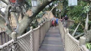 Disneyland - Tarzan Treehouse