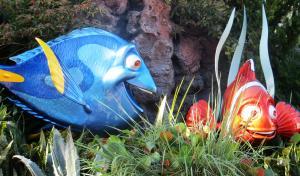 Aquatic life at The Seas pavilion at Epcot