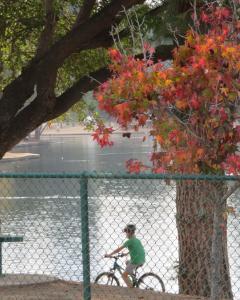 Fullerton Laguna Lake Park Biking