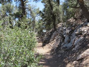 Big Bear Lake - Cougar Crest Trail