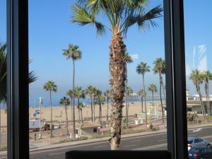 View from Bluegold restaurant in Huntington Beach