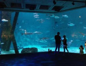 The front entrance of the Audubon Aquarium of the Americas