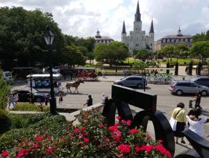 A horse-drawn carriage in front of Jackson Square and St. Louis Cathedral