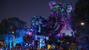 Disney World - Animal Kingdom - Pandora - Wikipedia by Jedi94