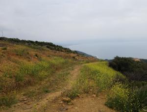 Tuna Canyon Park - Hike - Santa Monica Bay View