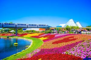 Disney World Orlando - Pixabay by eduneri