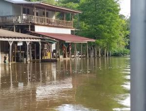 A traditional Cajun house on stilts in the swamp
