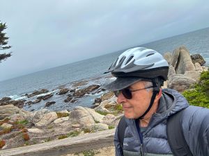 Pescadero Point along the 17-Mile Drive