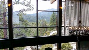 View from the Mountain Station balcony overlooking the pine forest
