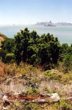 San Francisco - Angel Island - from Wikipedia