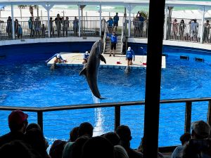 Fort Walton Beach - Gulfarium - Okaloosa
