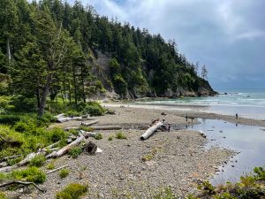 Oregon Coast