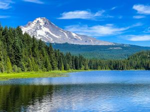 Mt Hood
