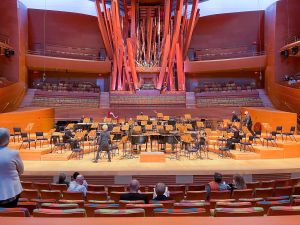 LA Music Center - Walt Disney Concert Hall
