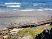 Carlsbad State Beach