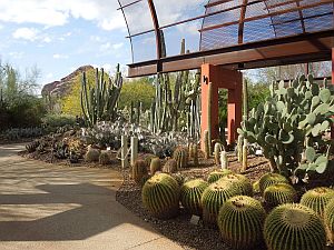 Phoenix Desert Botanical Garden - Wikimedia