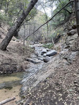 Millard Canyon Falls - Trail