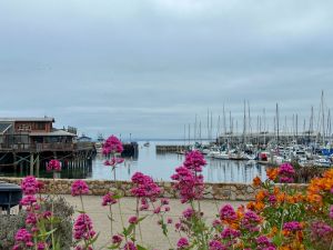 Fisherman's Wharf Pier with boats