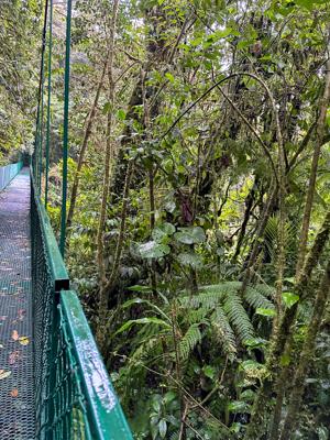 Monteverde - Selvatura Park Hanging Bridges