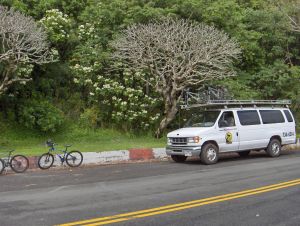 A person on a bike pausing during a downhill ride in Oahu