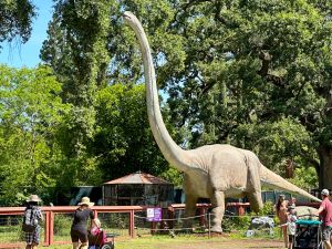 Sacramento - Zoo
