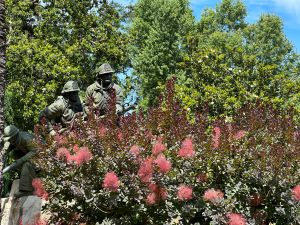 Sacramento - Capitol Park