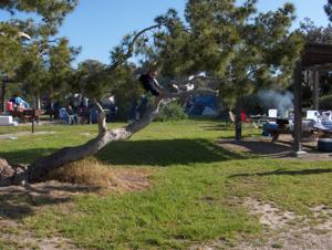 San Clemente State Beach - Camp