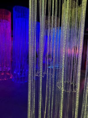 WNDR San Diego - Interoptics